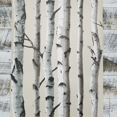 Tuxbury Beige Birch Trees Wallpaper