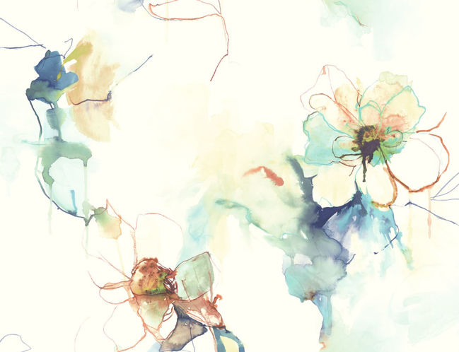 Anemone Watercolor Floral Wallquest Wallpaper