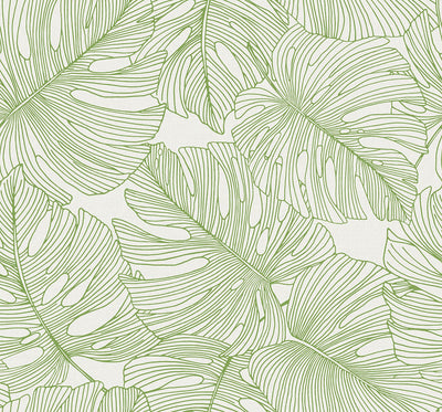 Wallquest Tarra Wallpaper