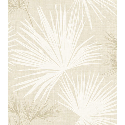 Hatteras Palms Wallpaper