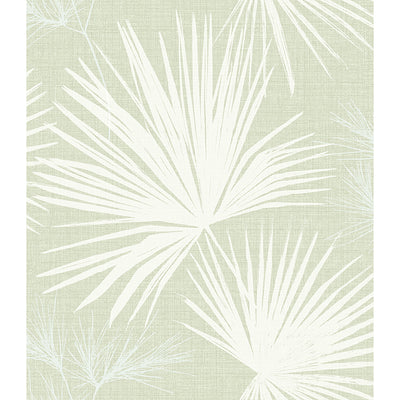 Hatteras Palms Wallpaper