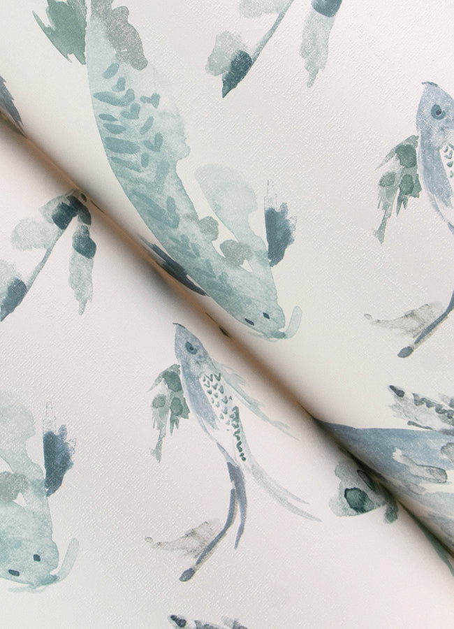 Kio Fish Wallpaper