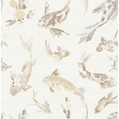 Kio Fish Wallpaper