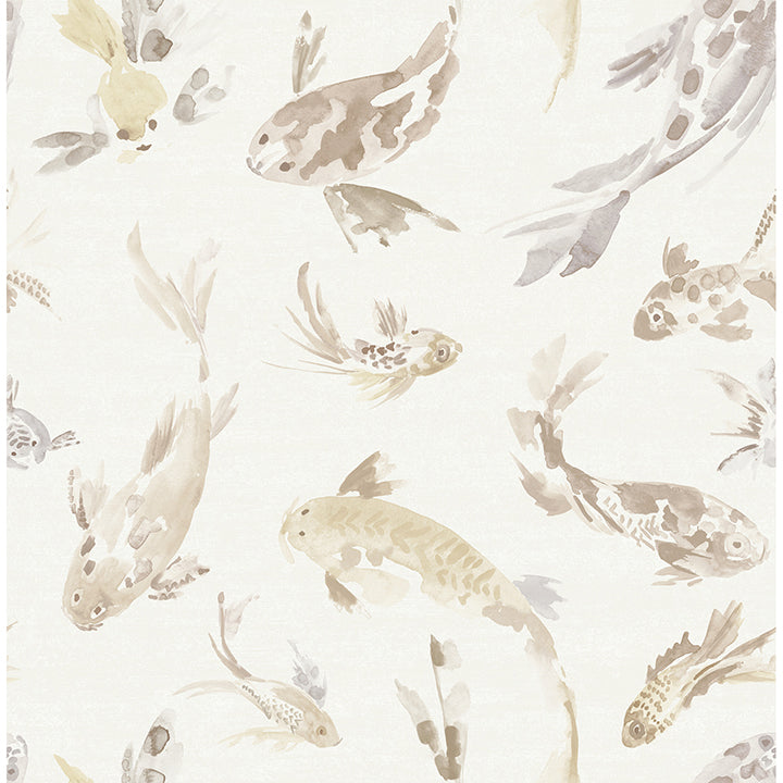 Kio Fish Wallpaper