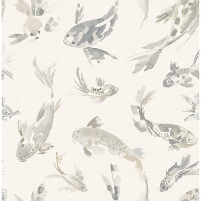 Kio Fish Wallpaper