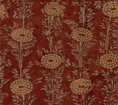 French Marigold Wallpaper