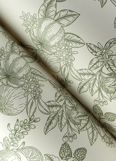 Gerty Fruit Toile Wallpaper
