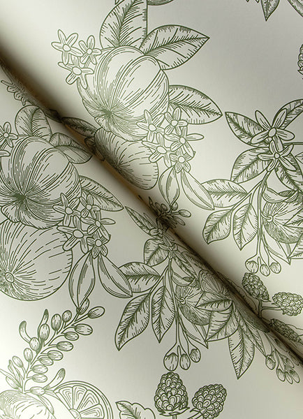 Gerty Fruit Toile Wallpaper