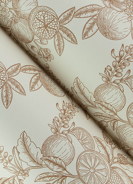 Gerty Fruit Toile Wallpaper
