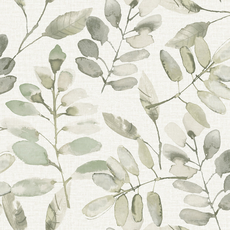 Pinnate Leaves Wallpaper