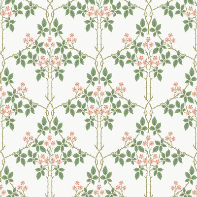 York Blackberry Wallpaper