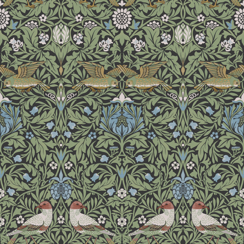 York Bird Wallpaper