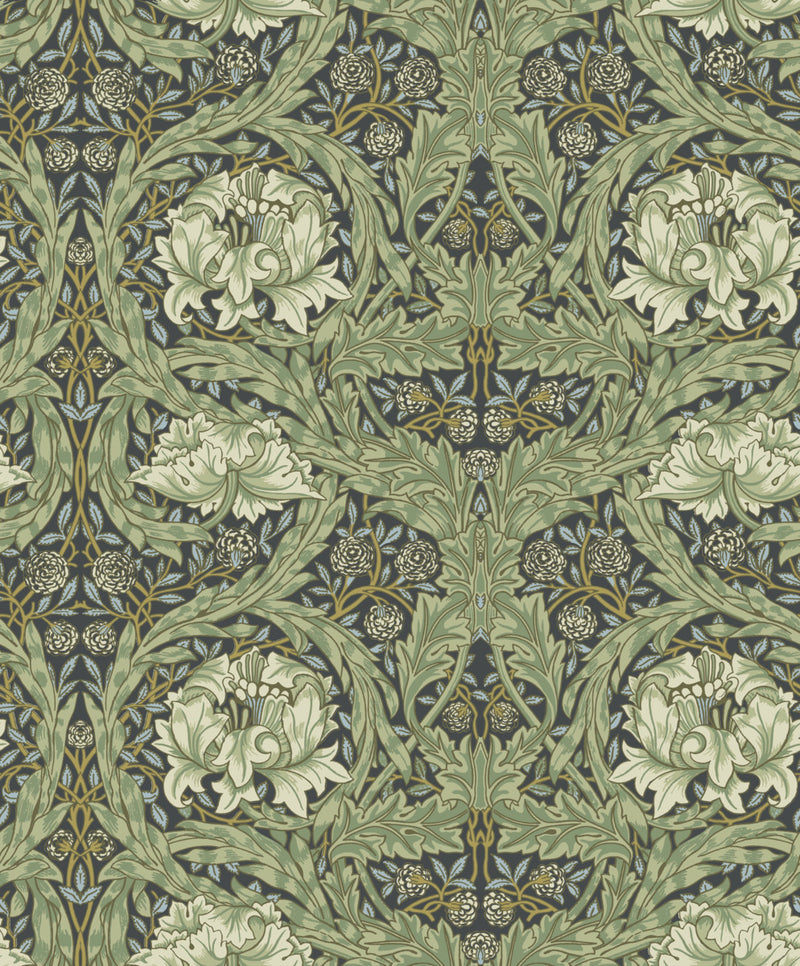 York African Marigold Wallpaper
