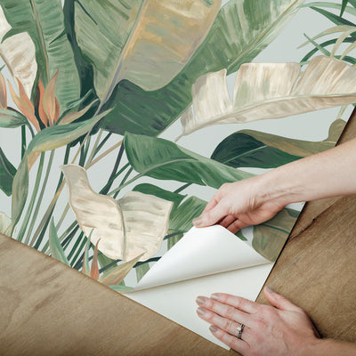 Tropical Cabana Premium Peel and Stick Wallpaper