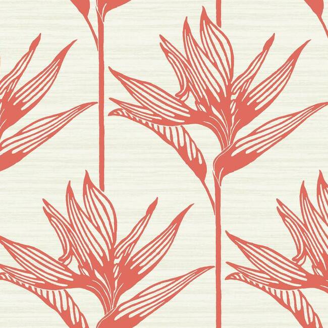 Birds Of Paradise Wallpaper York