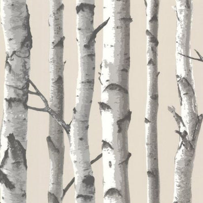 birch trees woods forest tan black white wallpaper FD21499