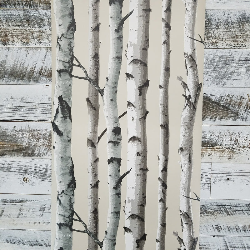 Tuxbury Beige Birch Trees Wallpaper