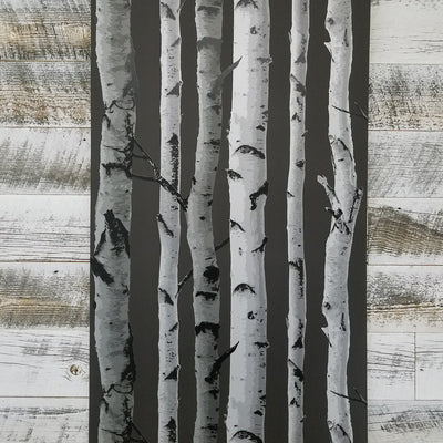 Brewster Distinctive Black Birch Tree Wallpaper