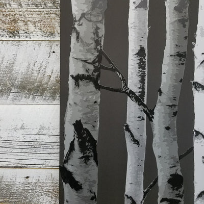 Brewster Distinctive Black Birch Tree Wallpaper