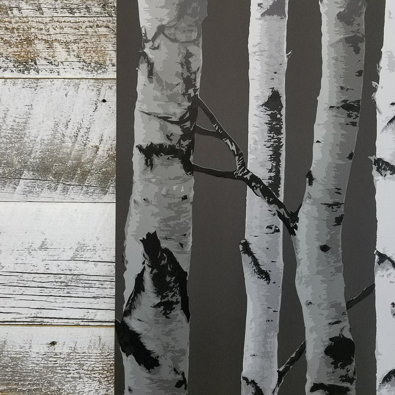 Brewster Distinctive Black Birch Tree Wallpaper