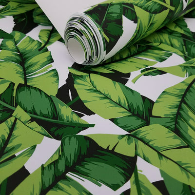 Palm Leaf Botanical Peel and Stick Wallpaper