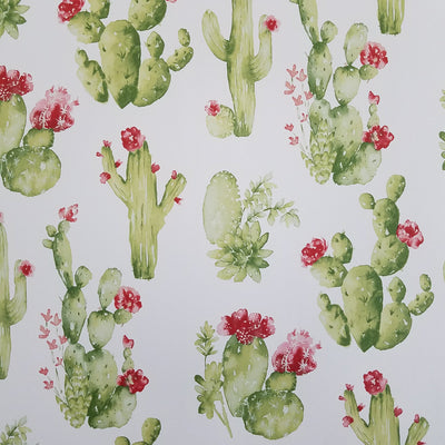 Watercolor Botanical Cactus Wallpaper