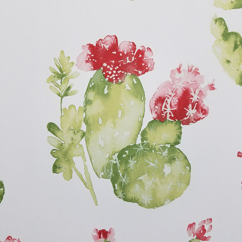 Watercolor Botanical Cactus Wallpaper