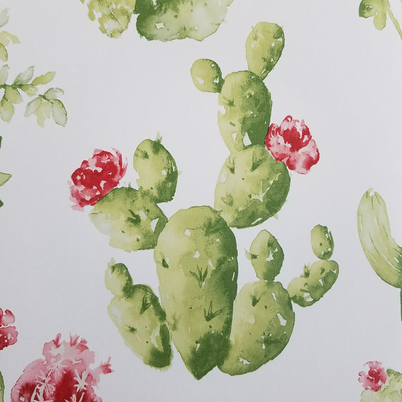 Watercolor Botanical Cactus Wallpaper