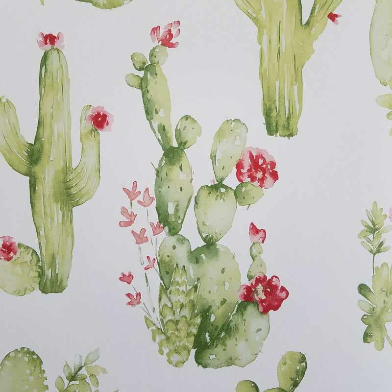 Watercolor Botanical Cactus Wallpaper