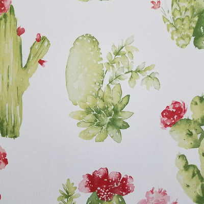 Watercolor Botanical Cactus Wallpaper