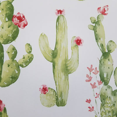 Watercolor Botanical Cactus Wallpaper