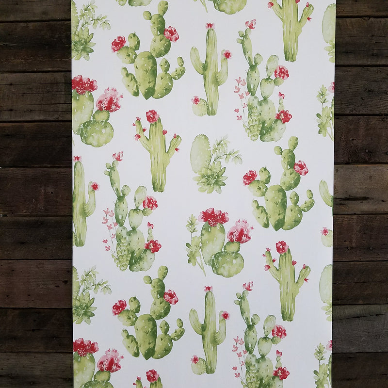 Watercolor Botanical Cactus Wallpaper