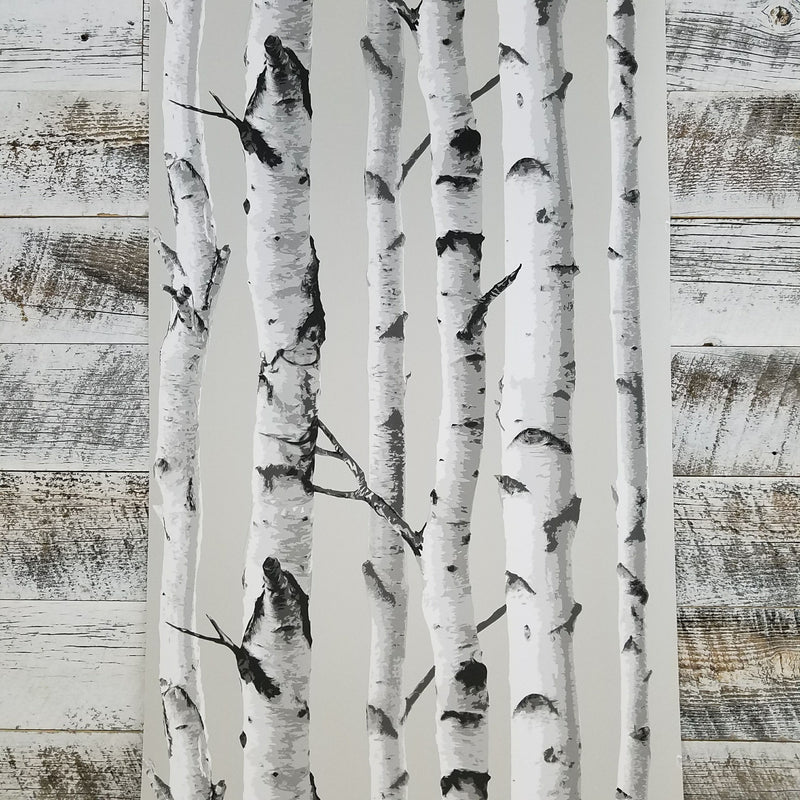 Birch Trees NU Wallpaper Peel and Stick Wallpaper