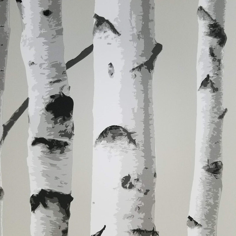 Birch Trees NU Wallpaper Peel and Stick Wallpaper