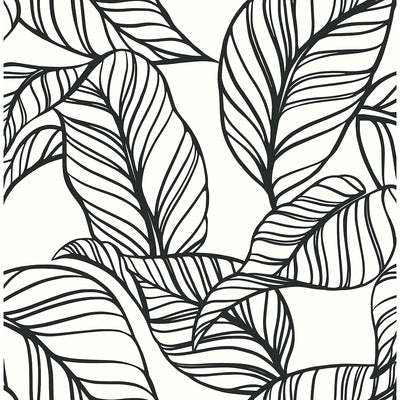 Kagan Black Large Leaf Botanical Wallpaper