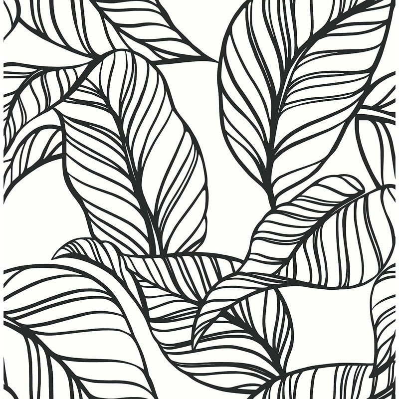 Kagan Black Large Leaf Botanical Wallpaper