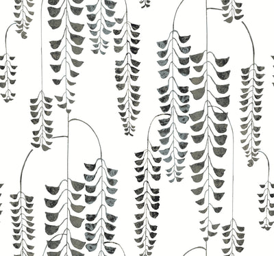 Deco Wisteria Black And White Botanical Wallpaper