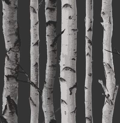 Brewster Distinctive Black Birch Tree Wallpaper