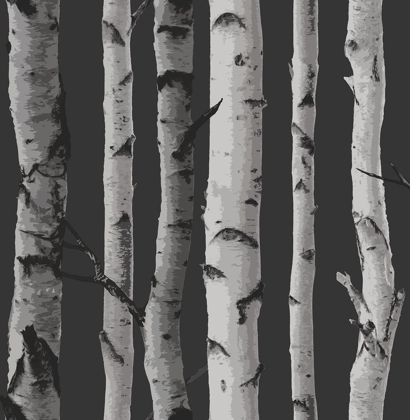 Brewster Distinctive Black Birch Tree Wallpaper