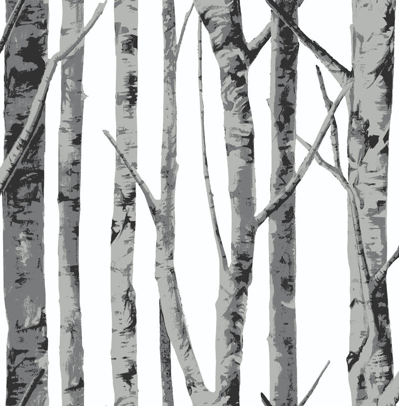 NextWall Peel and Stick Black and Gray Birch Trees Wallpaper