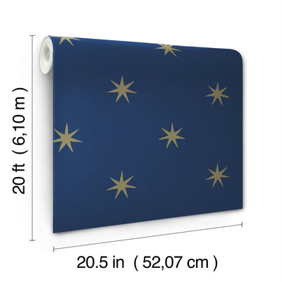 Star Splendor Premium Peel and Stick Wallpaper