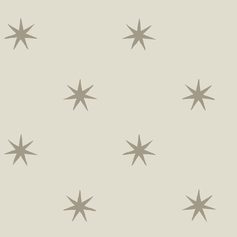 Star Splendor Premium Peel and Stick Wallpaper
