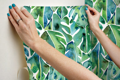 Cat Coquillette Philodendron Peel and Stick Wallpaper